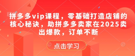 拼多多vip课程，零基础打造店铺的核心秘诀，助拼多多卖家在2025卖出爆款，订单不断-创业资源库