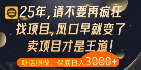 什么？25年你还在疯狂找项目做，醒醒吧，看完这些你全都懂了【揭秘】-创业资源库