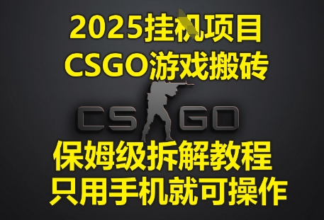 2025挂G项目，CSGO游戏搬砖，保姆级拆解教程，只用手机就可操作【揭秘】-创业资源库