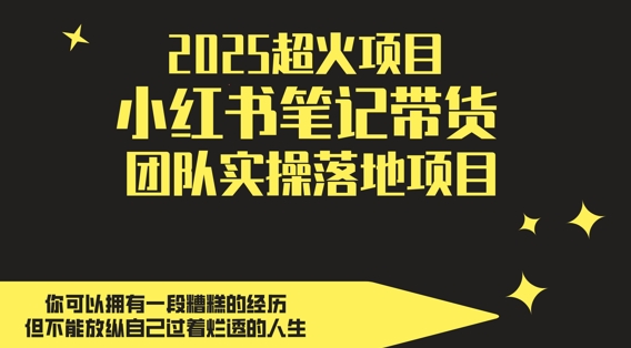 2025超火项目，副业最佳选择，小红书笔记带货团队实操落地项目，，轻松日入5张-创业资源库