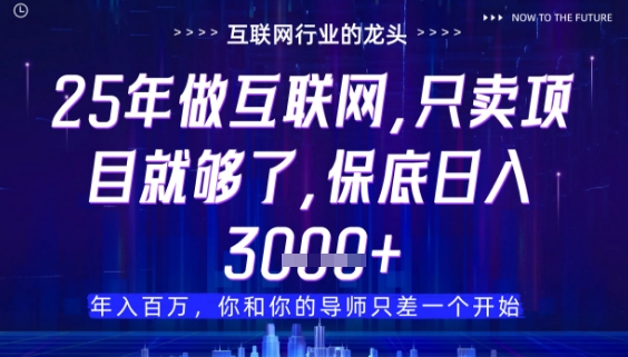 什么！25年你还在找项目做？风口早就变了，卖项目才是稳挣不赔【揭秘】-创业资源库