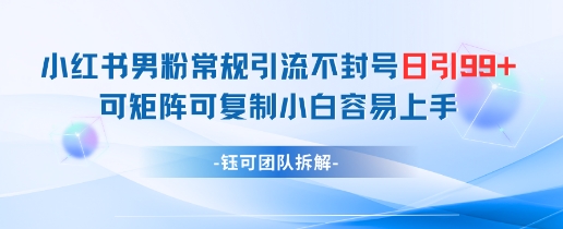 小红书男粉常规引流不封号日引99+变现简单 可矩阵可复制小白容易上手-创业资源库