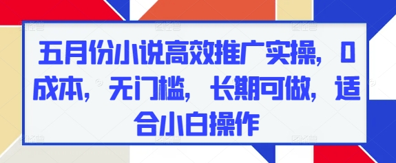 五月份小说高效推广实操，0成本，无门槛，长期可做，适合小白操作-创业资源库