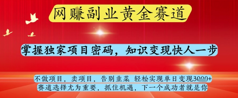 网创副业黄全赛道，掌握独家项目密码，知识变现快人一步，告别韭菜轻松实现单日变现1k+【揭秘】-创业资源库