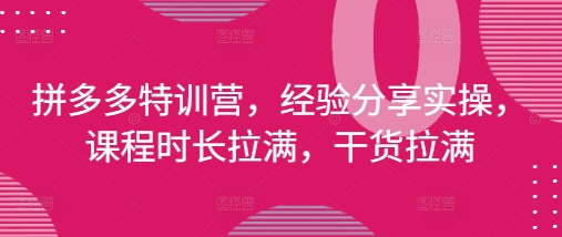拼多多特训营，经验分享实操，课程时长拉满，干货拉满(更新25年4月)-创业资源库