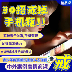 戒瘾网瘾视频教程全套管理技巧亲子关系学习动力在线课程-谦言资源库