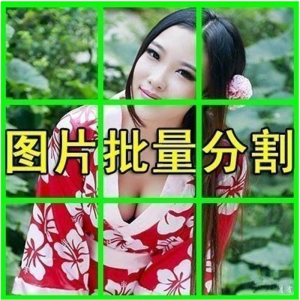 图片批量切割软件 图片批量分割工具 批量切图器 图片批量裁剪-谦言资源库