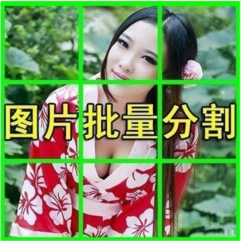图片批量切割软件 图片批量分割工具 批量切图器 图片批量裁剪-谦言资源库