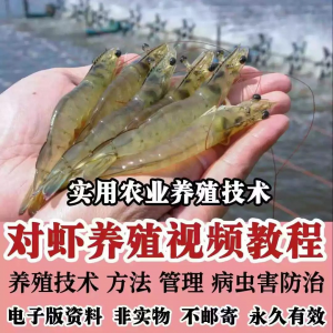 对虾养殖技术视频教学教程水质管理日常养护疾病防治南美白素材-谦言资源库