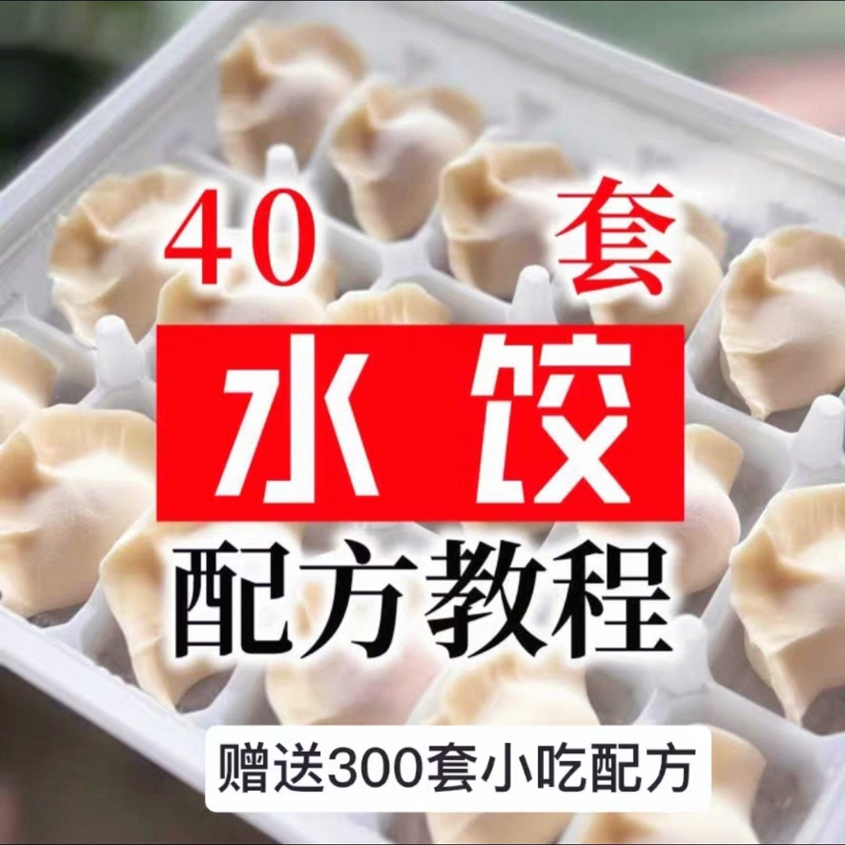 【0.01秒发】40套水饺技术配方 特制技术视频教程-谦言资源库