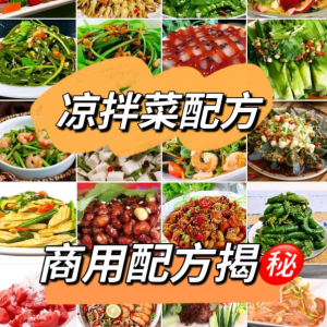 摆地摊街边特色自选拌凉菜小菜制作小吃技术配方教程培训视频教学-谦言资源库
