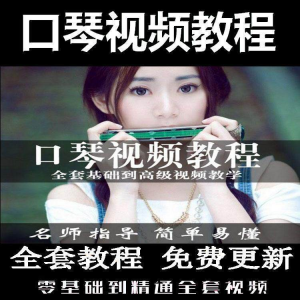 口琴自学教程视频零基础初学者入门到专业十孔24孔教学-谦言资源库