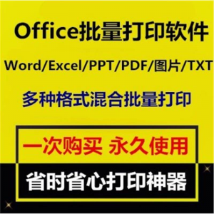 Office批量打印软件工具 Word/Excel/PPT/图片/PDF批量打印软件-谦言资源库