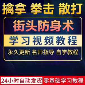 街头防身术擒拿拳击散打视频教程全套入门自学零基础学习教程视频-谦言资源库