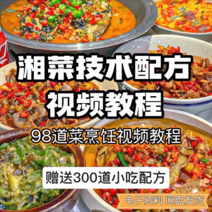 【0.01秒发】98道湘菜技术配方视频教程商用湖南菜炒菜特色小吃-谦言资源库