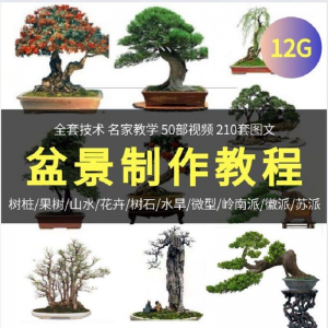 盆景制作技术视频教程工艺教学果树桩山水微型造型全套-谦言资源库