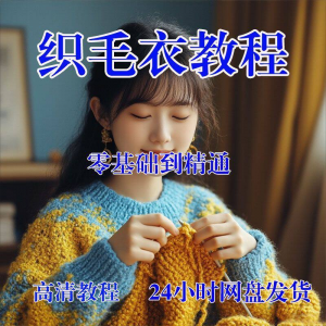 手工织毛衣视频零基础传统棒针钩针毛线编织婴儿童全套-谦言资源库