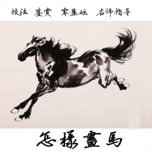 怎么画马视频教程教学自学画马技巧全套零基础入门到提高名水墨画-谦言资源库