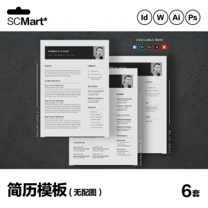 6套高级英文简历Word简历 ai psd设计师简历模板毕业生简历CV29-谦言资源库