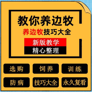 边牧训练方法教程边境牧羊犬驯养技术饲养喂养选购训犬技巧大全套-谦言资源库