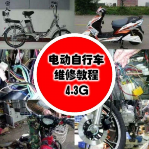 学电动车维修技术电动自行车维修技术电瓶修复技巧视频教程教学-谦言资源库