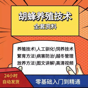 胡蜂养殖技术蜜蜂视频资料黄蜂黑盾怎样养胡蜂人工饲养教程大全-谦言资源库