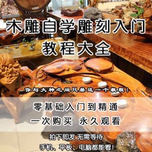 木雕自学雕刻入门教程木匠制作diy手工技术玉石学习视频教学课程-谦言资源库