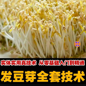 自学发豆芽技术资料豆芽加工制作方法教学 培育豆芽商用视频教程-谦言资源库