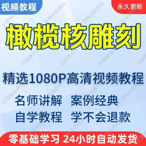 橄榄核雕刻视频学习教程新手自学零基础入门精通教学课程全集-谦言资源库