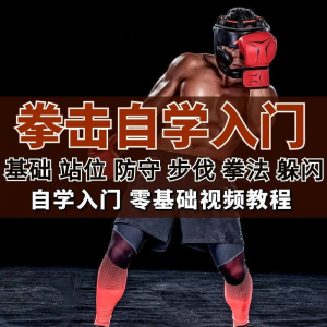 全套拳击指导视频教程自学零基础小白入门自卫搏击格斗防护资料-谦言资源库