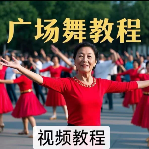 中老年广场舞视频下载高清视频教学打包MP4 MP3背面动作分解教程-谦言资源库