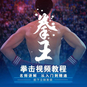 拳击教学视频 自学教程 训练零基础运动入门健身搏击格斗武术课程-谦言资源库