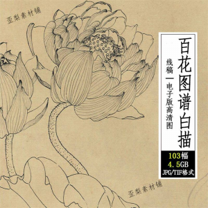 百花图谱白描线稿图集 国画花卉植103幅tif格式3.6G高清图片素材-谦言资源库