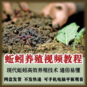 蚯蚓养殖技术视频教程素材零基础农业创业大棚如何养蚯蚓高效素材-谦言资源库