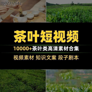 茶叶茶业茶具茶道茶艺茶文化知识文案茶园采茶泡茶高清短视频素材-谦言资源库