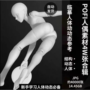 pofi无限人偶4W截图绘画素材pofi无线人偶人体动态学习素材临摹-谦言资源库