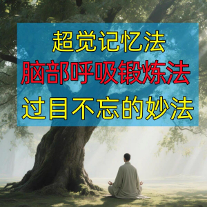 过目不忘修炼记忆力脑部呼吸锻炼法改造大脑健身气功养生训练方法-谦言资源库