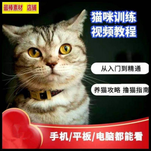 猫咪训练+养猫攻略大全技巧秘诀自学教程课程视频-谦言资源库